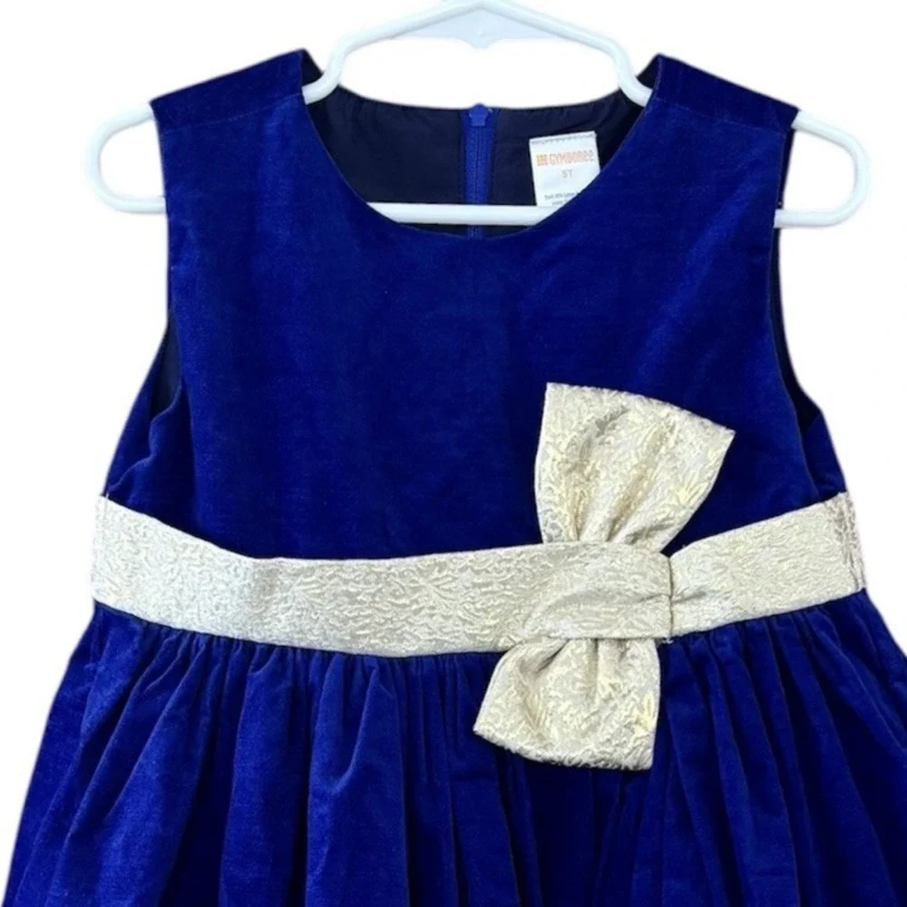 Gymboree blue velvet